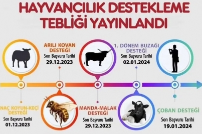  HAYVANCILIK DESTEKLEMELERİ UYGULAMA TEBLİĞİ  (TEBLİĞ NO: 2024/23)