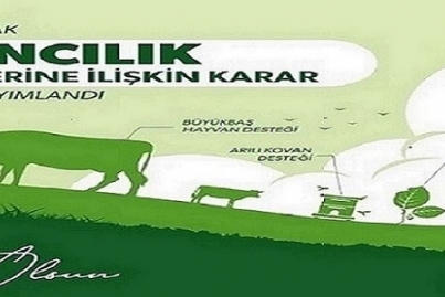  2024 Yılı Küçükbaş Hayvancılık Desteklemeleri Uygulama Talimatı ve Çalışma Takvimi