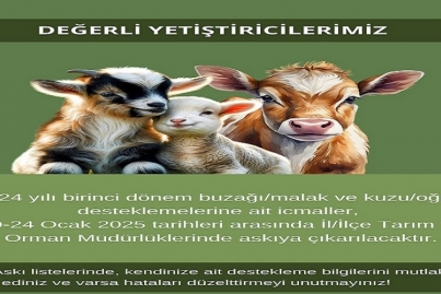  2024 YILI DESTEKLEME İCMALİ YAYINLANDI