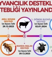  HAYVANCILIK DESTEKLEMELERİ UYGULAMA TEBLİĞİ