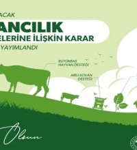  2024 Yılı Küçükbaş Hayvancılık Desteklemeleri Uygulama Talimatı ve Çalışma Takvimi