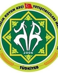 huseyin-sazanHüseyin SAZAN