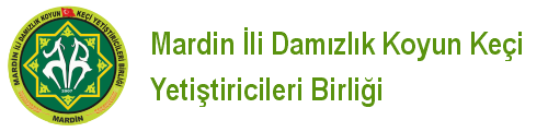 BİLGİLENDİRME